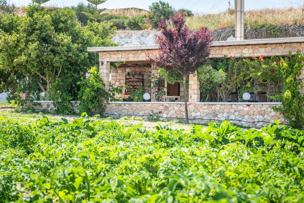 Emilia'S Little Farmhouses Agioi Anargyroi  Exterior photo